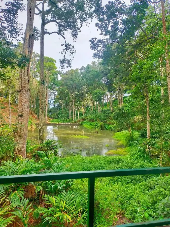 Singletree Resort, Munnar